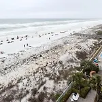 Pelican Isle Retreat