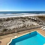 Blue Dolphin 301