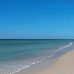 Island Princess 315