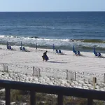 310 Surf Dweller By Alicia Hollis Realtor Rentals - Open March 16Th Week
