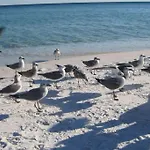 Pelican Isle - Breathtaking View