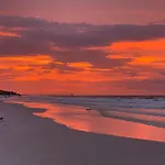 Nautilus 1204 - Gulf Front - 2 Bedroom! 2Nd Floor Free Beach Service March To October
