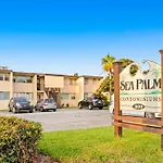Sea Palms