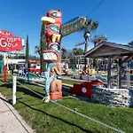 The Palms 502