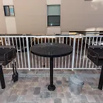 The Palms 203