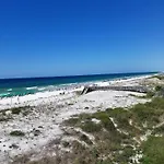 Gulf Dunes 308 - Seashell Symphony