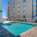 The Palms #501