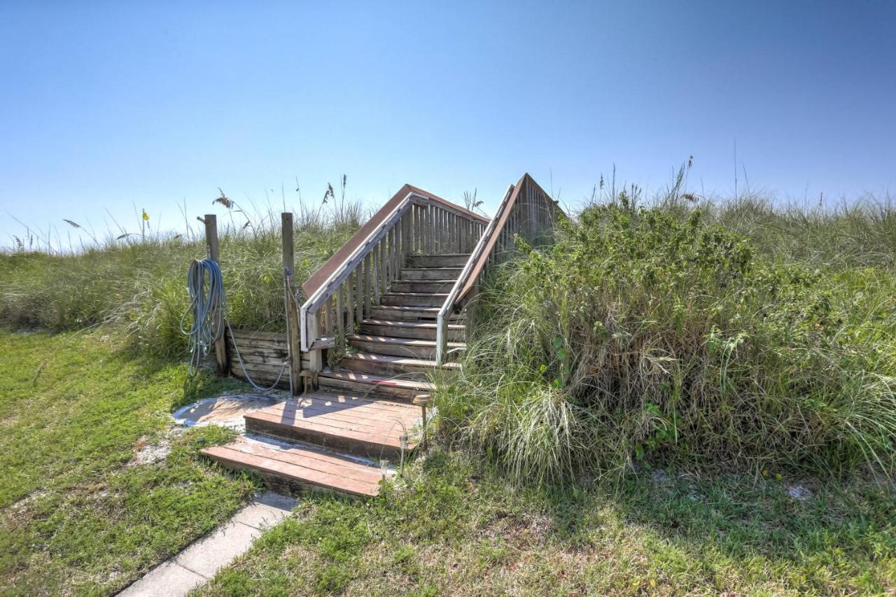 Bayou Dwellers Colony #6 *
