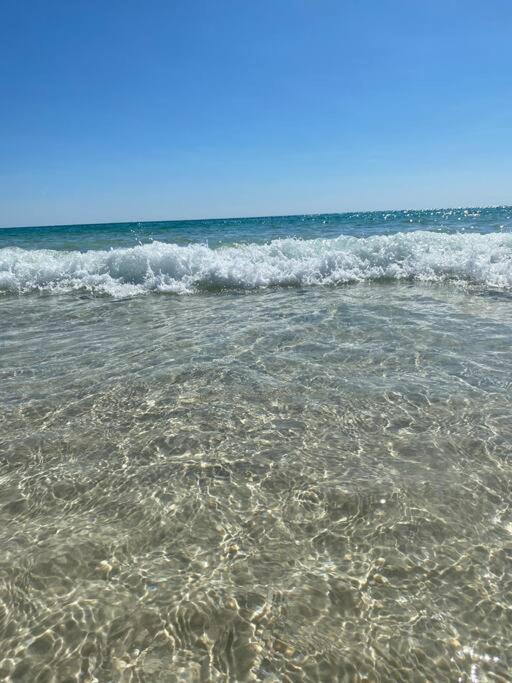 Holiday home Beauty & The Near Gulf Beaches & Bay