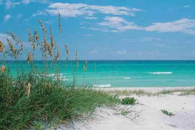 Bluefish Is The New Fish Okaloosa Island * Fort Walton Beach