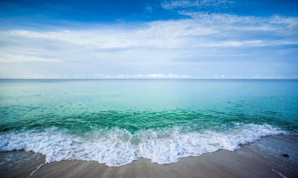 Gorgeous Gulf And Courtyard Views Rise Above It Waterscape A612 *