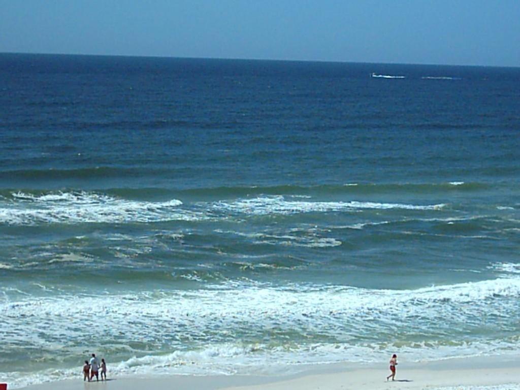 102 Surf Dweller By Alicia Hollis Realtor - Open March 16th Week Holiday home *