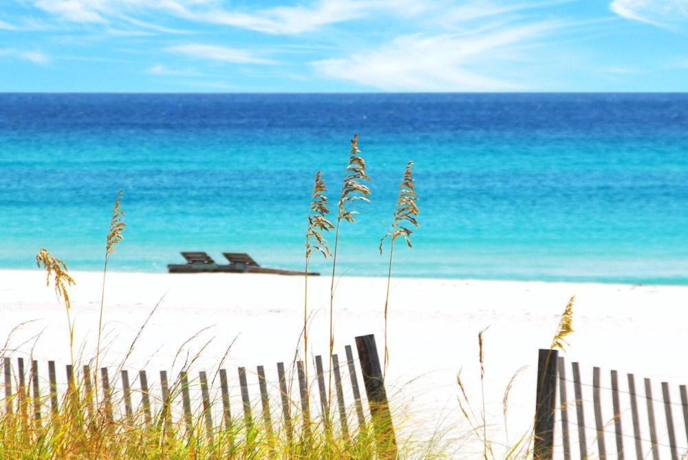 103 Surf Dweller By Alicia Hollis Realtor - Open March 16th Week *