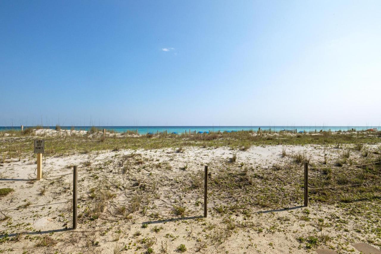 102 Surf Dweller By Alicia Hollis Realtor - Open March 16th Week