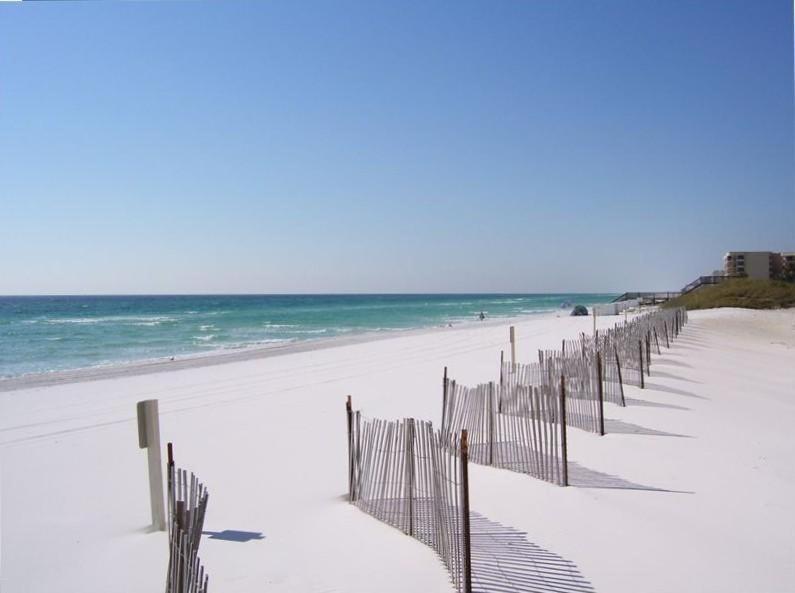 609 Surf Dweller By Alicia Hollis Realtor - Open March 16th Week Fort Walton Beach