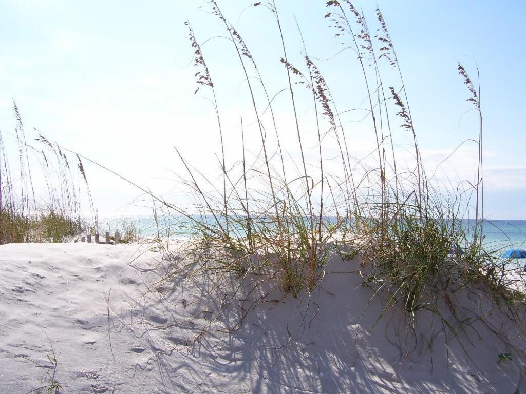 307 Surf Dweller By Alicia Hollis Realtor - Open March 16th Week * Fort Walton Beach