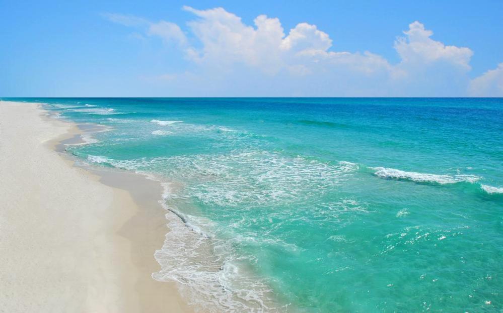 316 El Matador By Alicia Hollis Realtor - Open Feb 1st For 22 Nights *