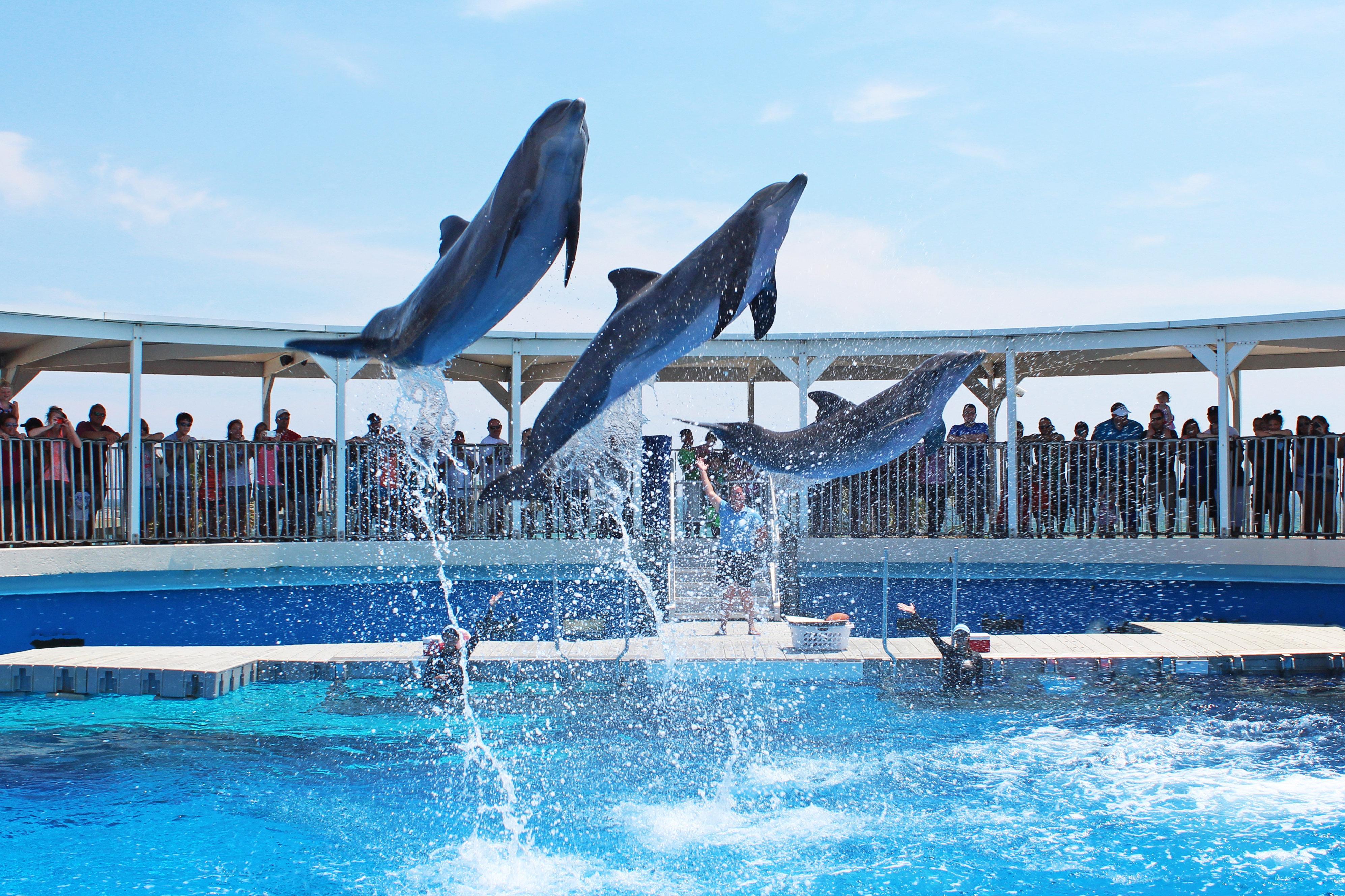 Walton By Ihg 3* Fort Walton Beach
