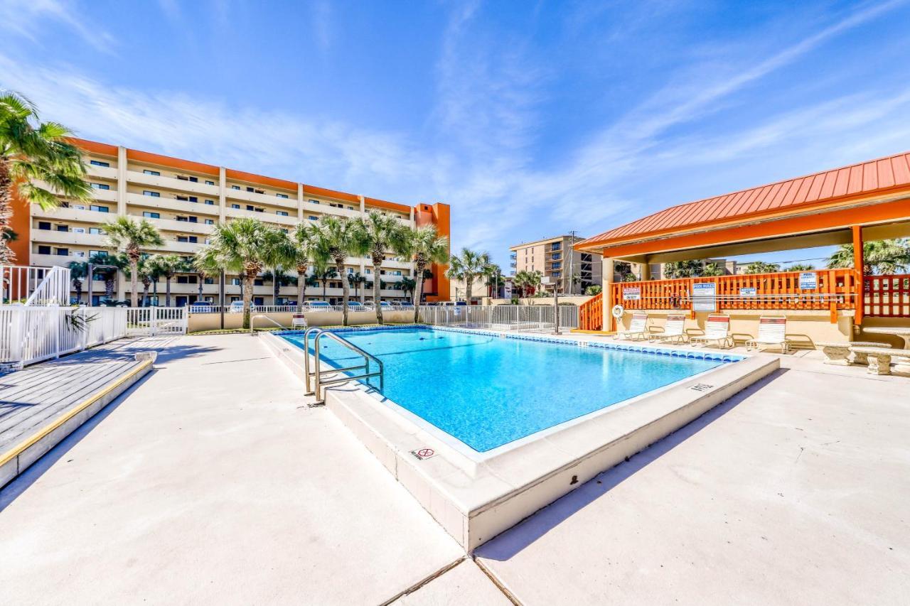 Apartment Surf Dweller 203