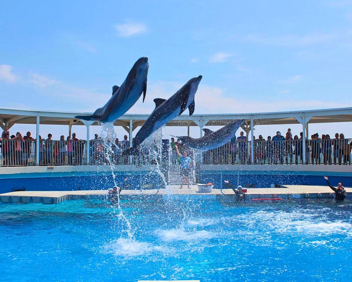 Bluefish 8 Private 2br Bliss On Oka Island Fort Walton Beach