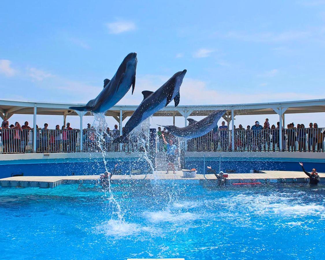 Apartment Bluefish 1 - Serenity Oka Island 2br Fort Walton Beach