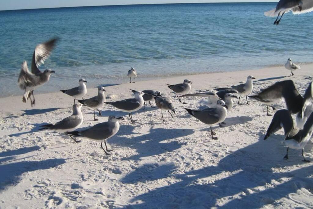 Holiday home Pelican Isle - Breathtaking View Fort Walton Beach