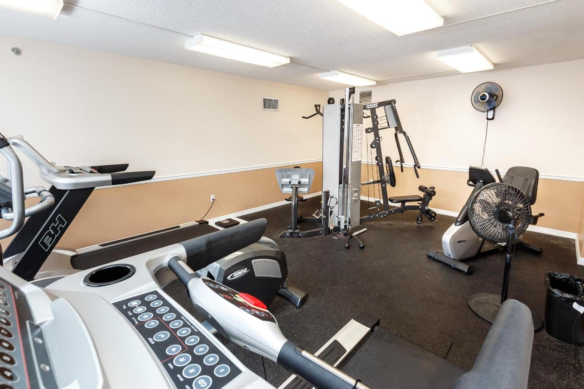 Apartment Ip612-beachfront 2 Bed With Free Service! *