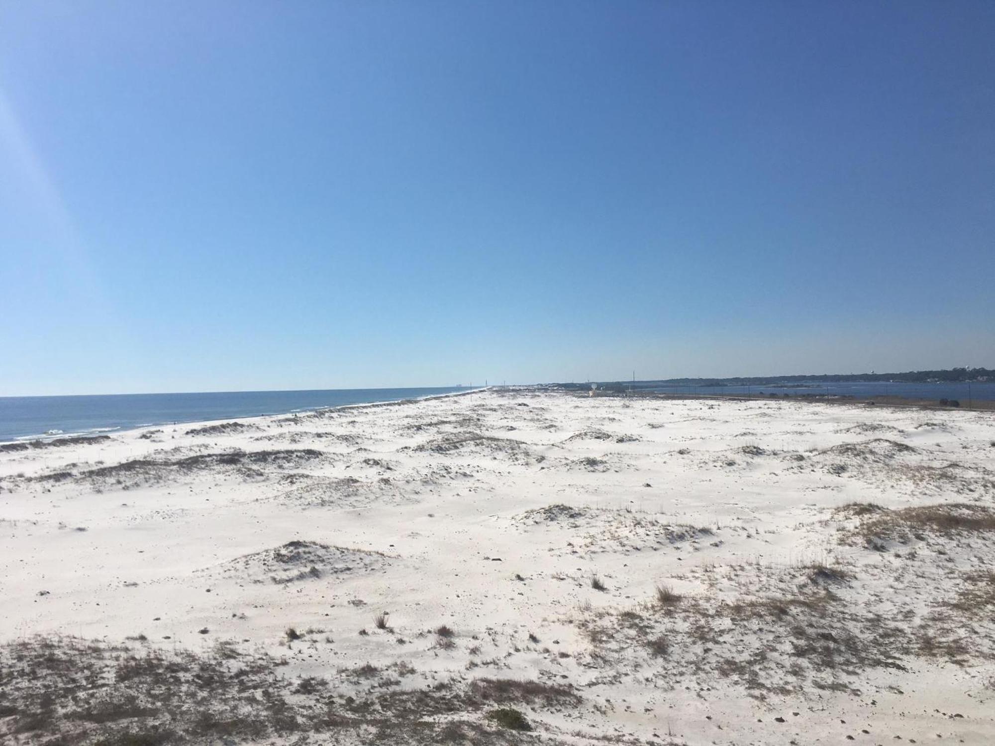El Matador 239 By Alicia Hollis New Listing Open