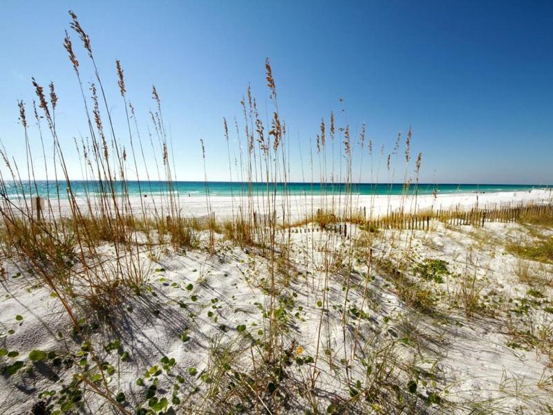 Apartment Dune Point 303