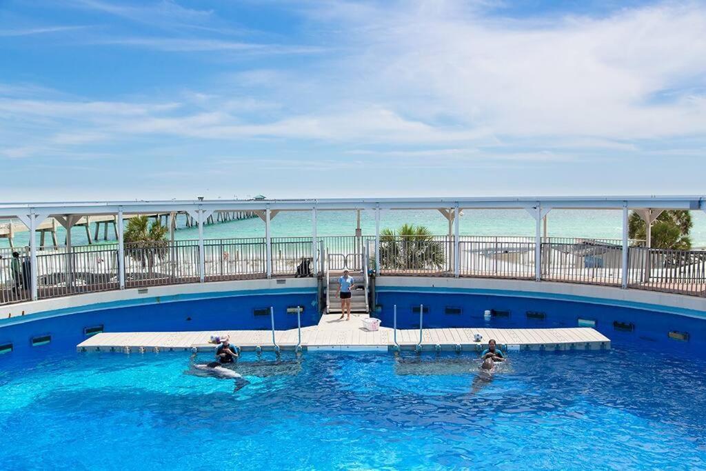 Apartment Island Princess 707 Grouper Therapy *