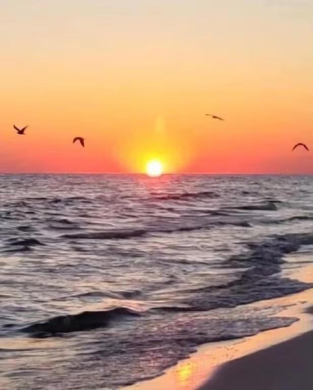 Family Tides-the Ultimate Family Beachfront Condo! Apartment Fort Walton Beach