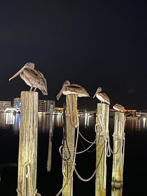 Pb B204 - Close To - Optional Boat Slip Apartment Fort Walton Beach