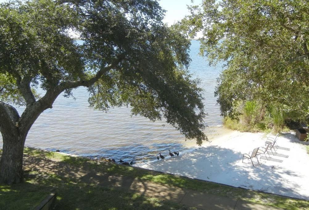 Pb B204 - Close To - Optional Boat Slip