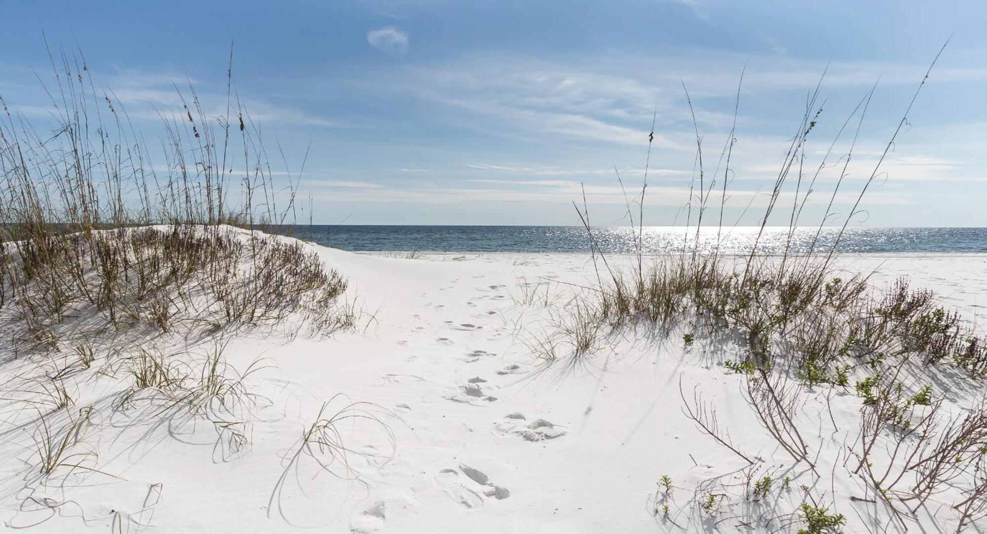 Nautilus 1703 Gulf Front Large 2 Bedroom Penthouse 7th Floor