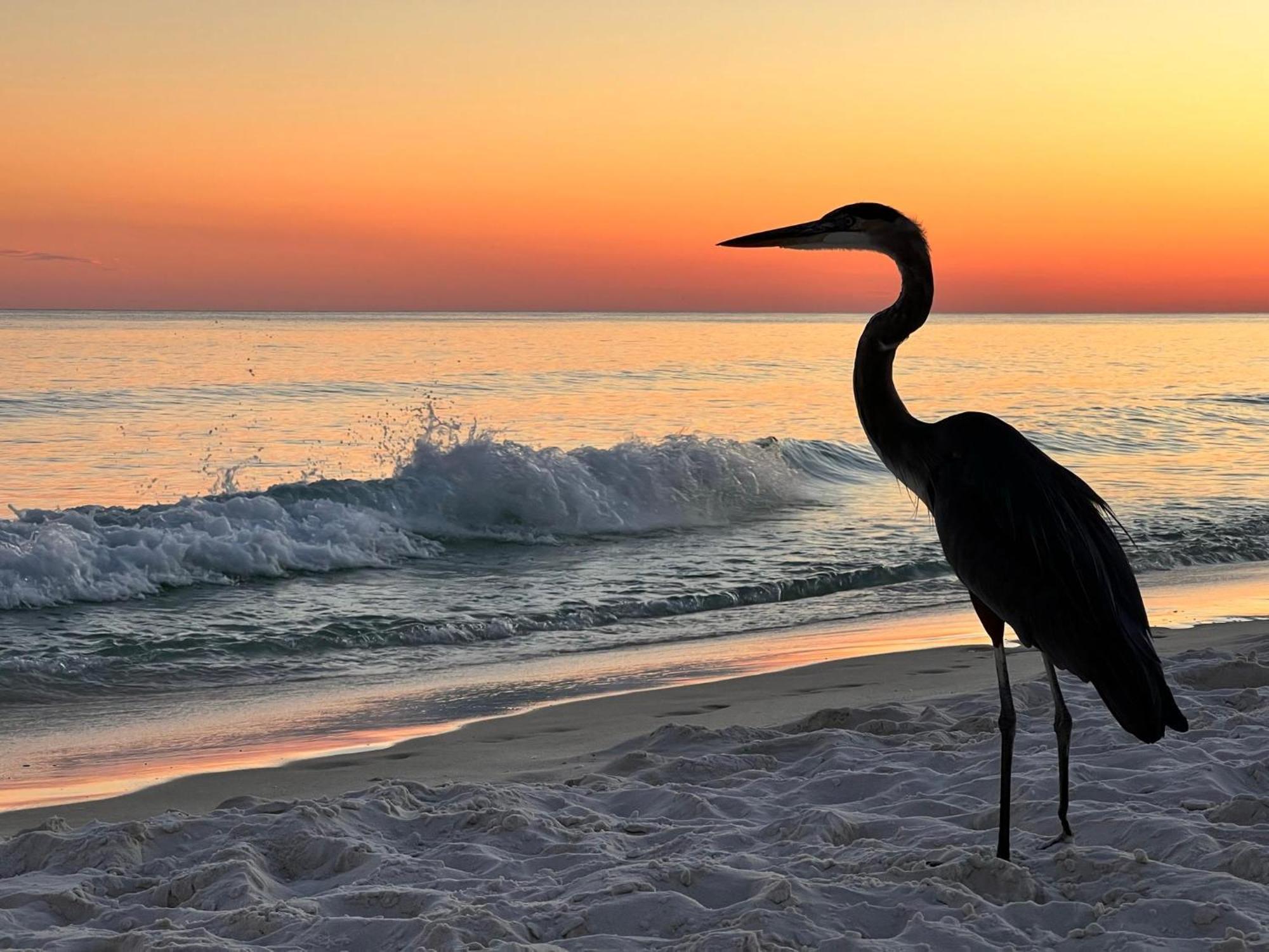 Nautilus Unit 2307 * Fort Walton Beach