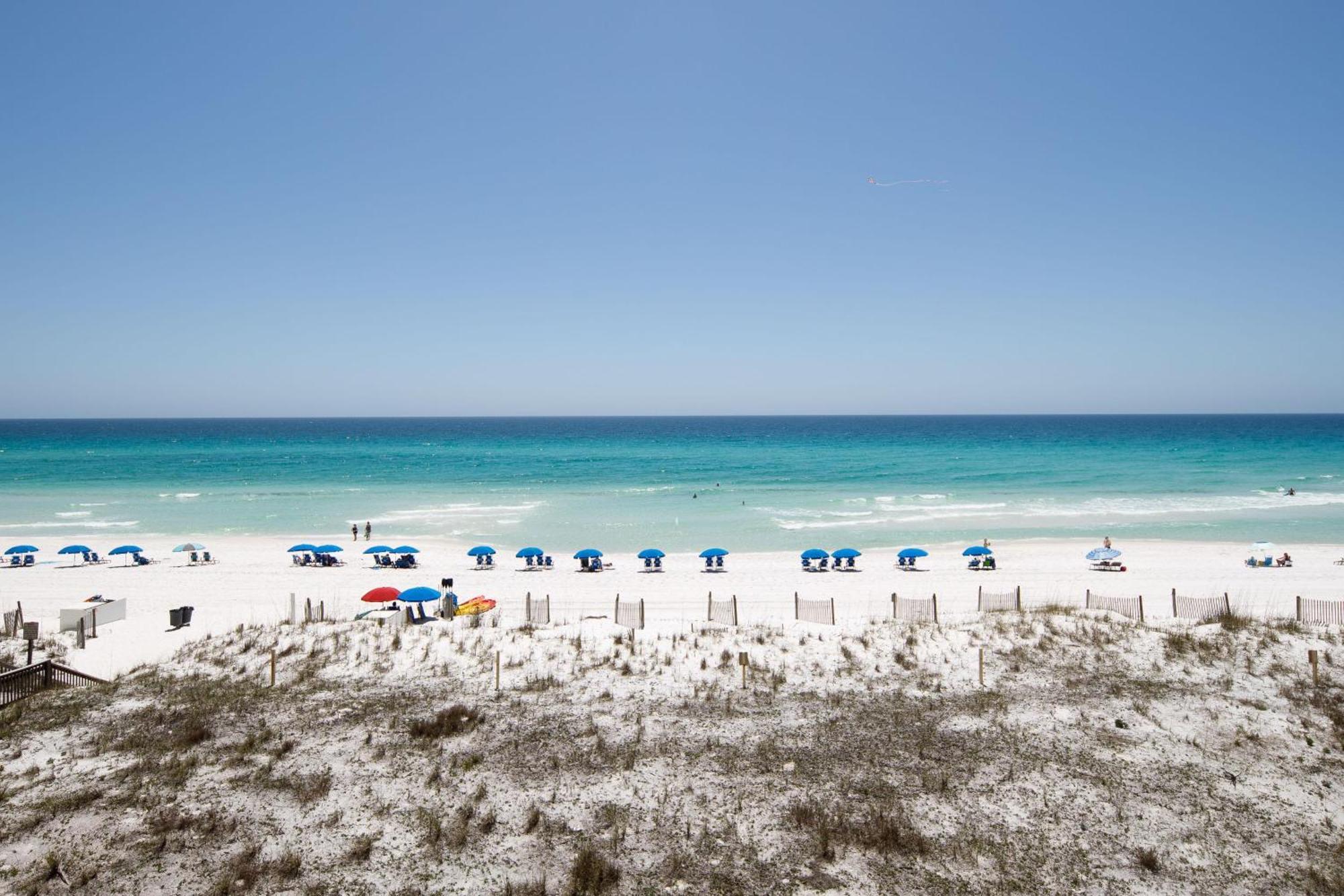 Apartment Surf Dweller 409 *