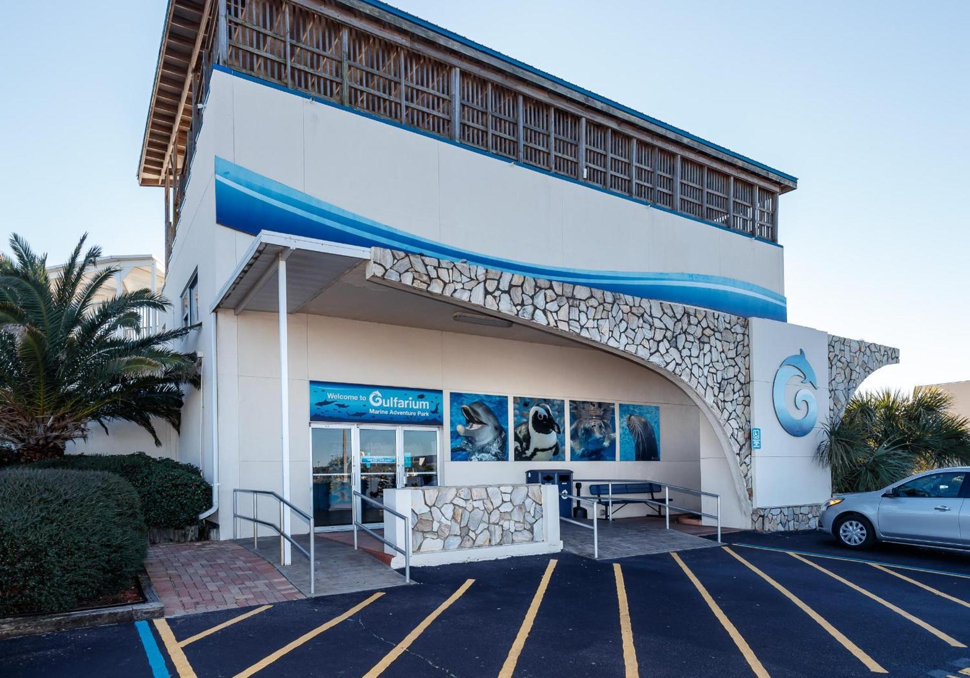 Surf Dweller 206 - Crescent Cove