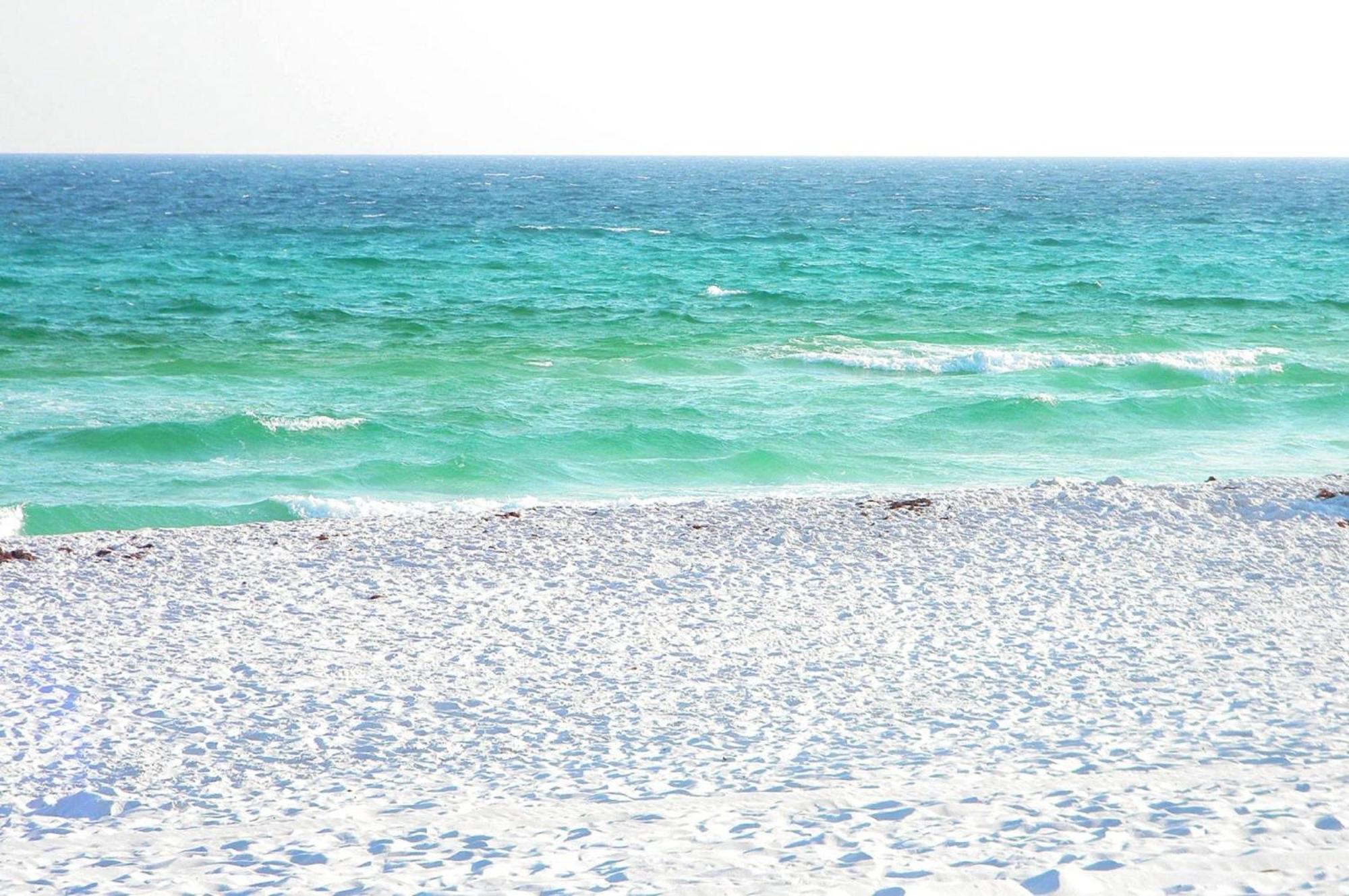 Waters Edge #213- Sea Dreams *