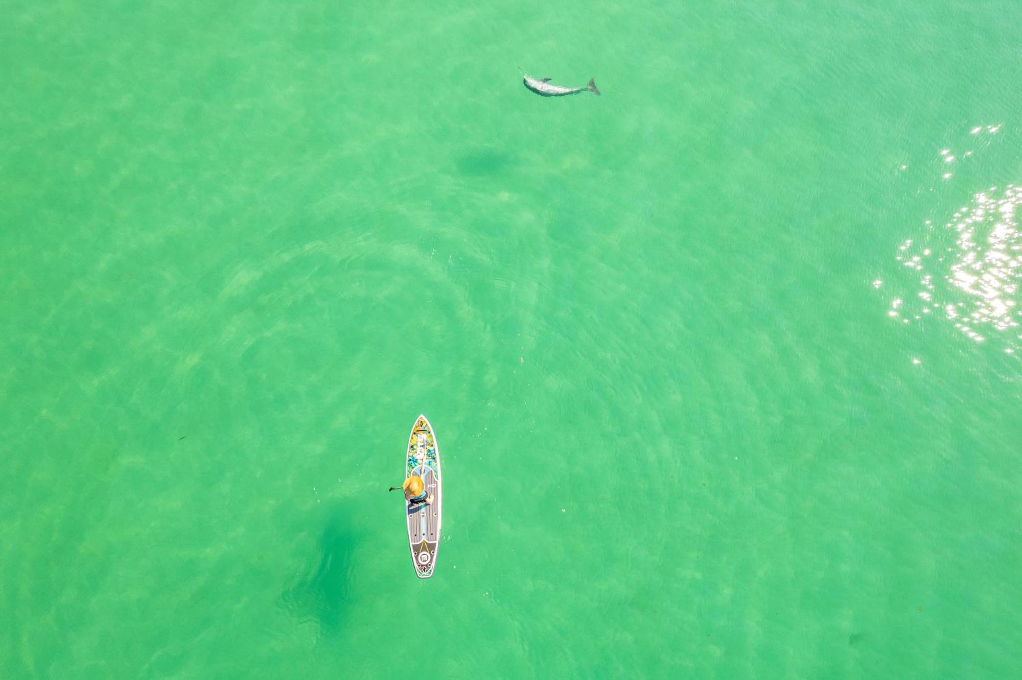 Apartment Venus 309- By Isle Fort Walton Beach