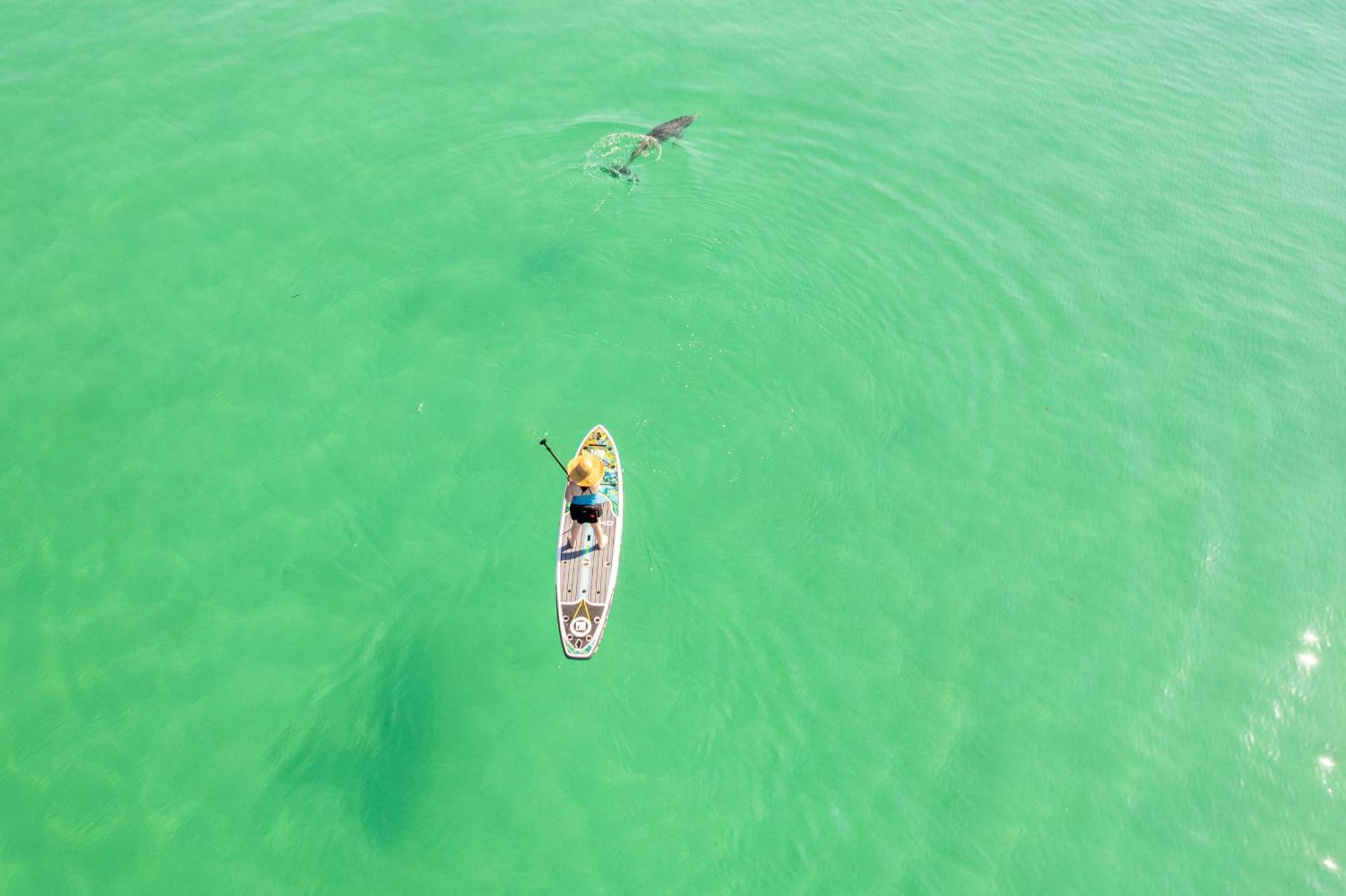 Seacrest 715ab- By Isle * Fort Walton Beach