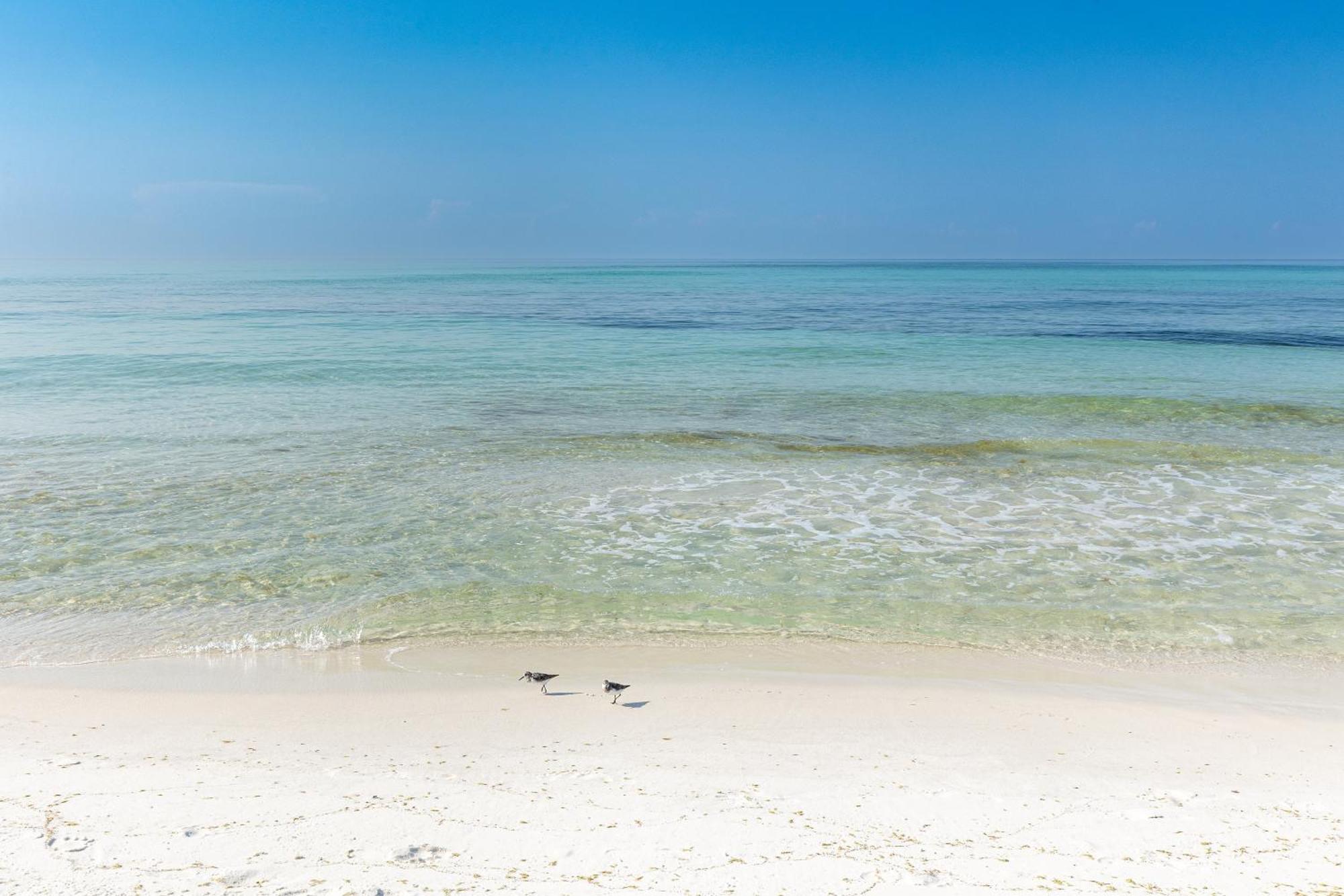 Seacrest 301b- By Isle Apartment Fort Walton Beach