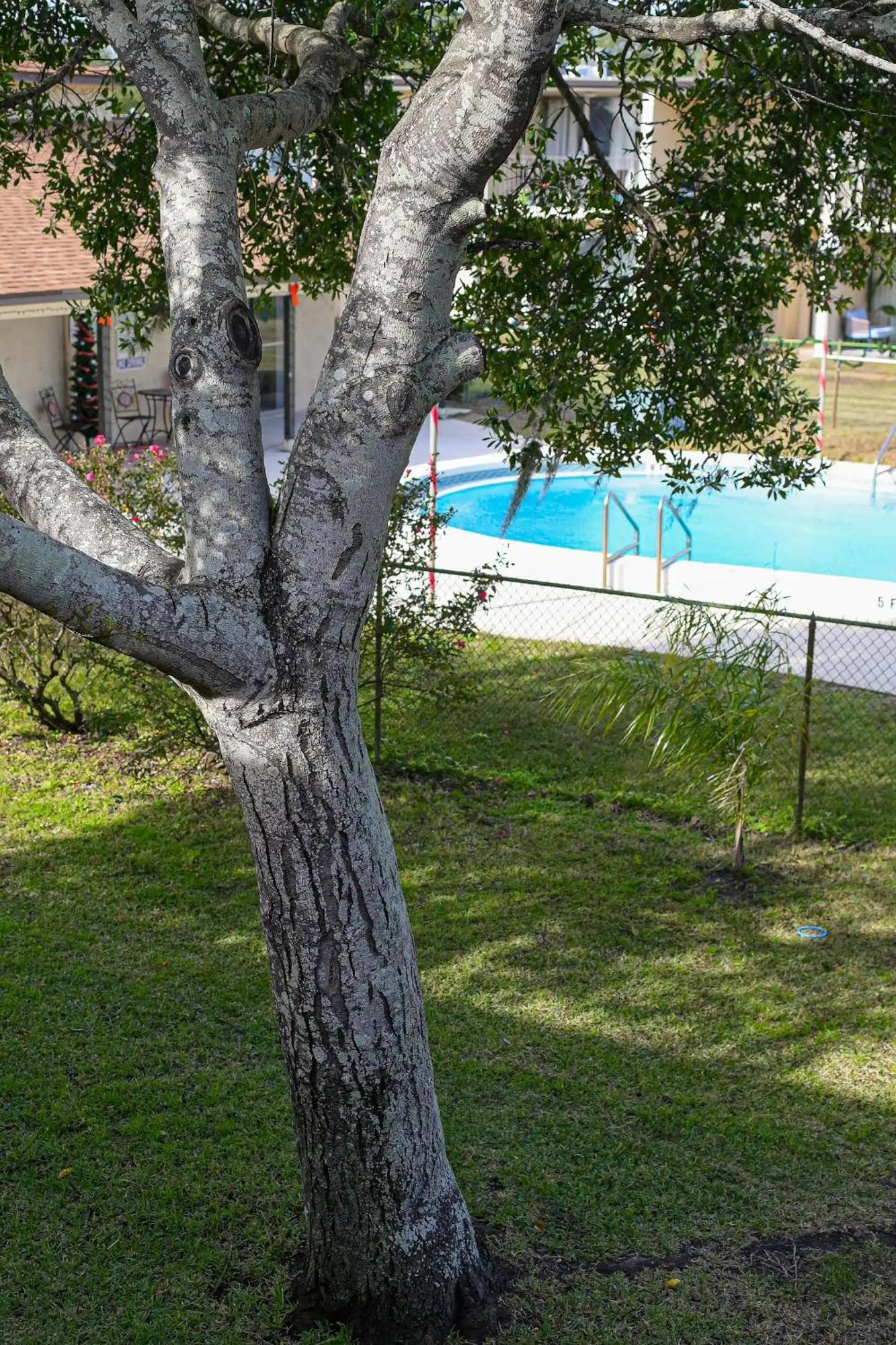 Apartment Walton - Near Crab Island And Destin *