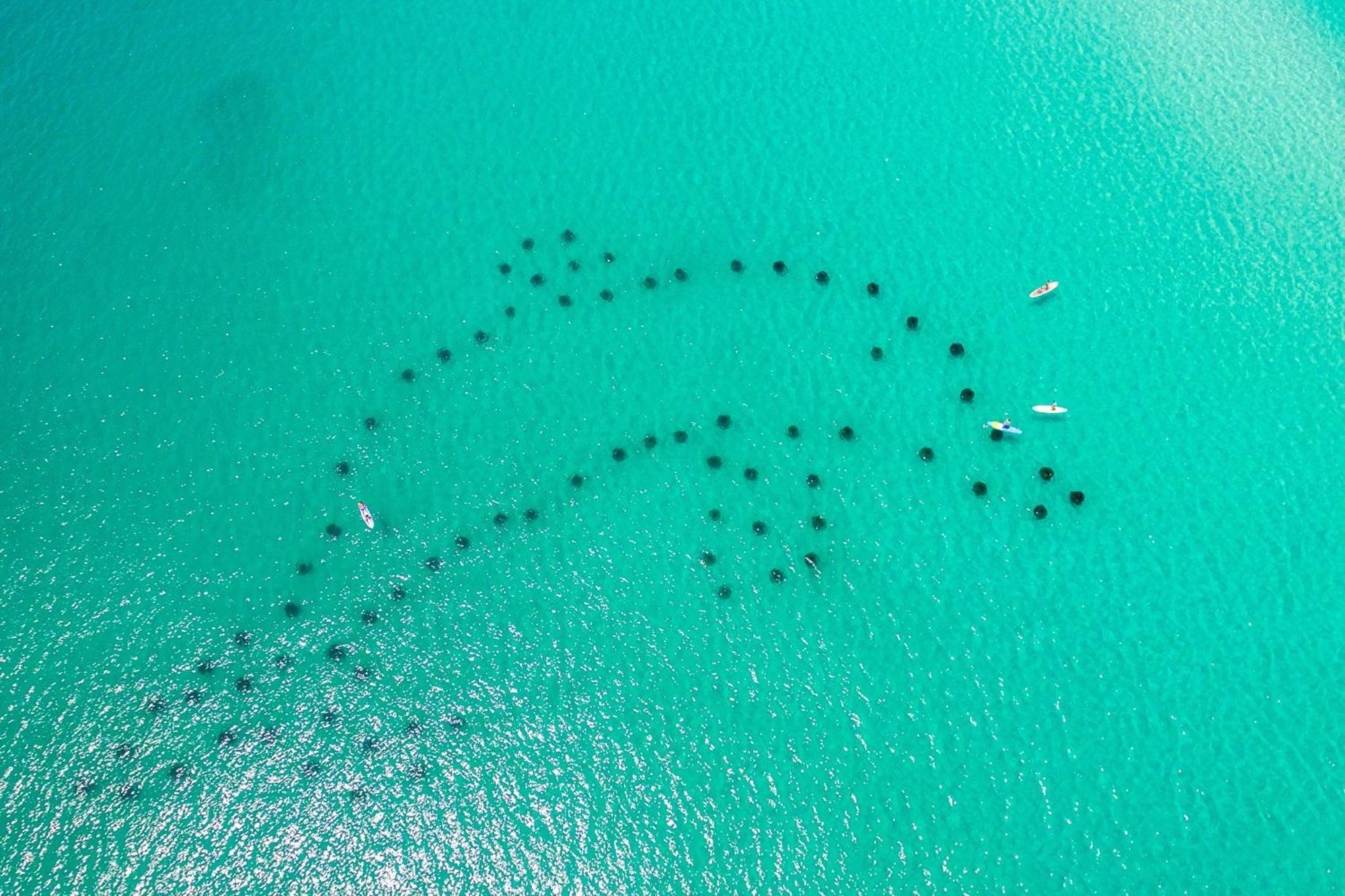 Venus 104- By Isle * Fort Walton Beach