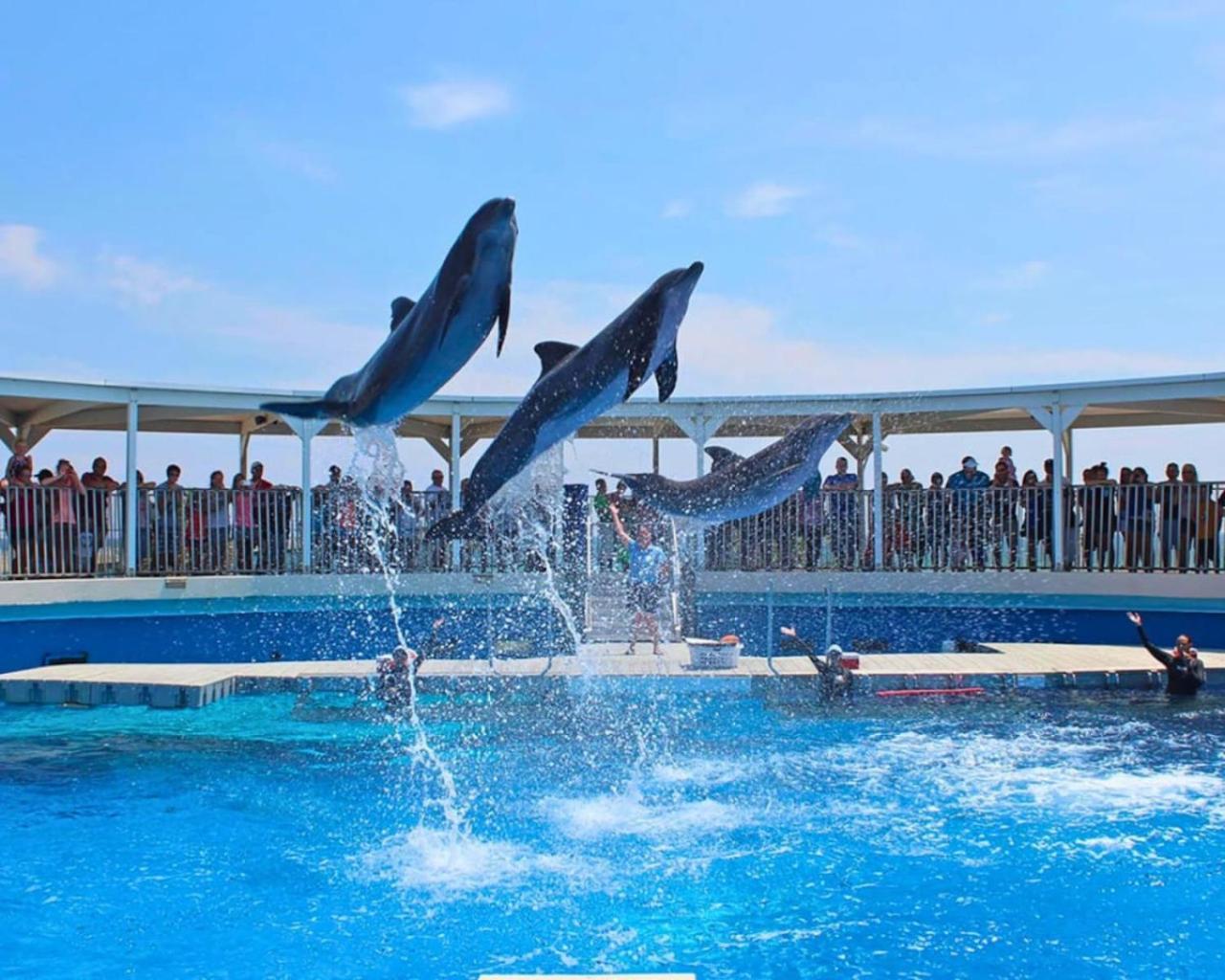 Pool And Heated Spa-bluefish 3 - Oka Island 2br Apartment *