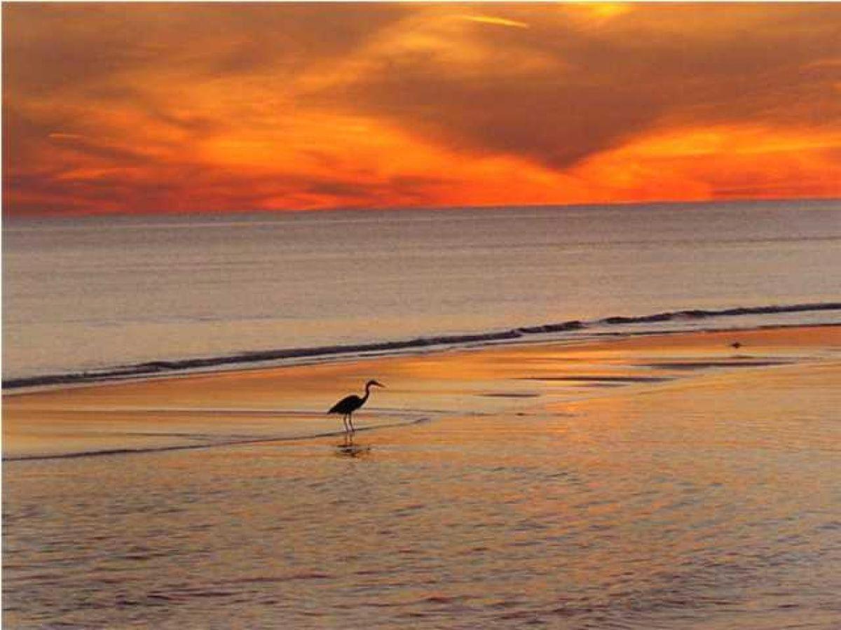 El Matador 469 By Alicia Hollis Open Apr 1 Holiday home Fort Walton Beach