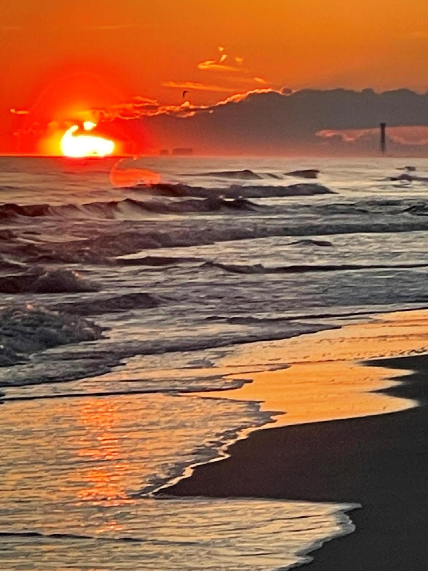 Holiday home El Matador 469 By Alicia Hollis Open Apr 1