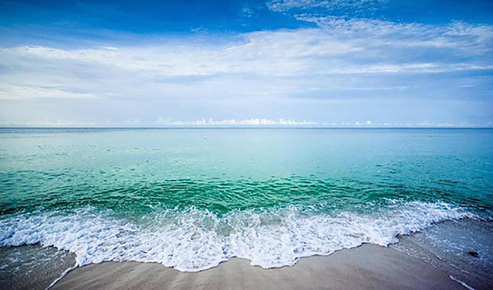 Waterscape 328-a 'fanta Sea' *
